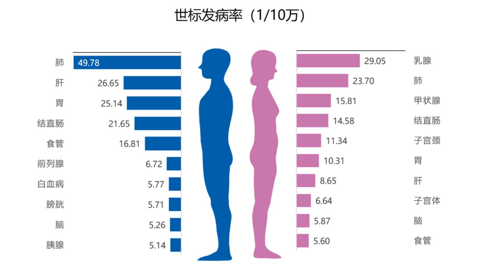 演示文稿1.jpg
